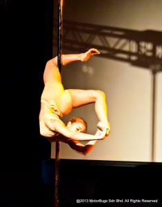 Pole Stars 2013-10