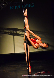 Pole Stars 2013-33