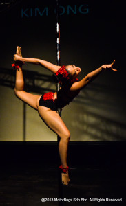 Pole Stars 2013-36