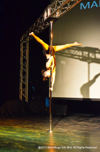 Pole Stars 2013-5