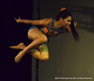 Pole Stars 2013-63