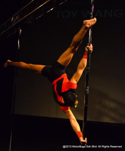 Pole Stars 2013-70