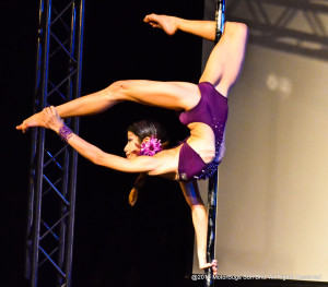 Pole Stars 2013-88